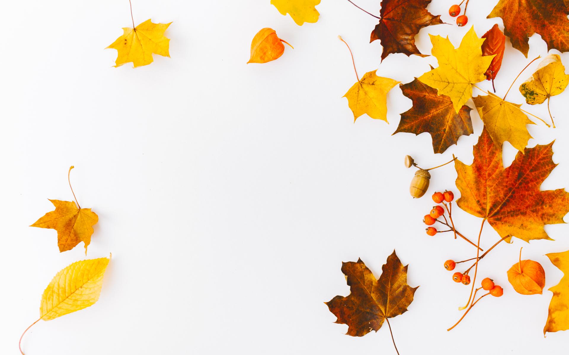 Herbst